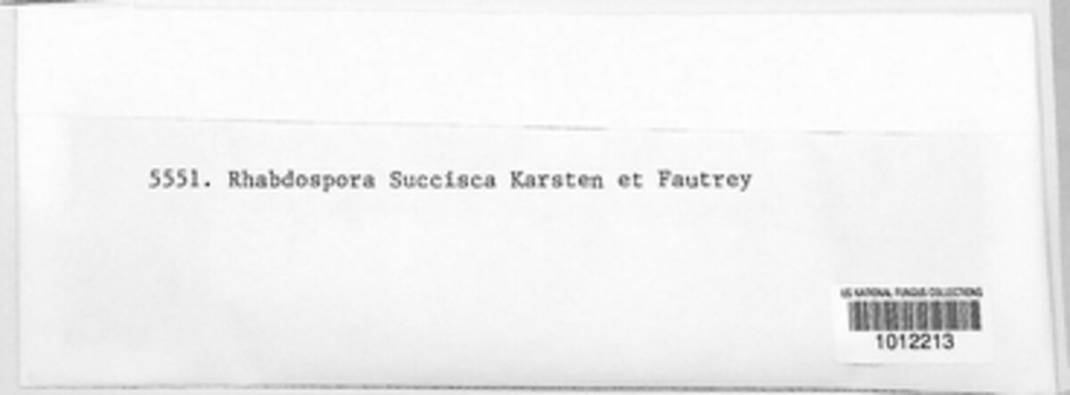 Rhabdospora succisae image